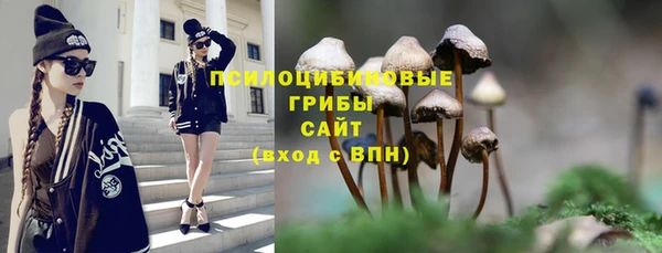 mdpv Балахна