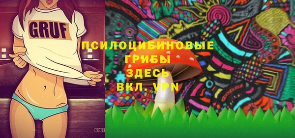 спайс Баксан