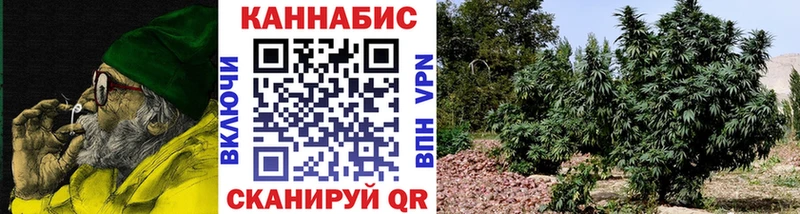 Шишки марихуана LSD WEED  Ядрин 